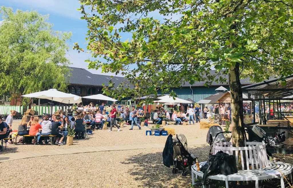 Der Außenbereich des Krewelshof Lohmar mit Bierbänken und Sonnenschirmen.
