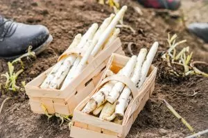 Holzkörbe mit Spargelstangen vom Krewelshof.